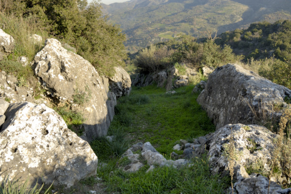 ARXAIA - AKSOS (11)