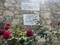 ΦΩΤΟ 4