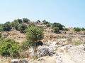 ΦΩΤΟ 3
